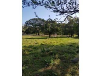 Finca , Capira · Vendo Finca 117 Ha Tituladas Frente a Calle de Asfalto