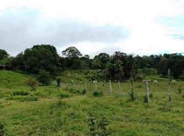 Terreno / Lote , Chepo · Venta de Terreno 107 Hectáreas en Madroño, Chepo