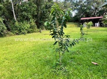 Finca · 300m² · 3 Recámaras · 4 Estacionamientos · Venta de Finca en Chorrera
