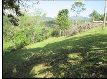 Finca , Colón · Se Vende Finca en Colon