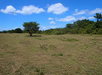 Finca , Aguadulce · Venta de Finca en Aguadulce Coclé, 111 Hectárea