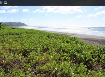 Terreno / Lote · 20000m² · Vendo Finca de Playa - Cambutal Tonosi Las Tablas