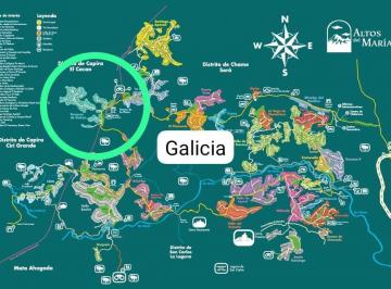 Terreno / Lote · 3100m² · Lote en Venta Altos del Maria (Bosques de Galicia) - Rm. P