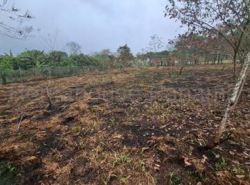 Terreno / Lote , La Chorrera · Venta o Alquiler Terreno Ruta Ollas Arriba