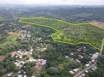 Terreno / Lote , La Chorrera · Se Vende Lote de 44 Hectáreas en Bique, Chorrera
