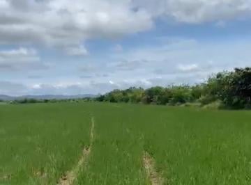 Terreno / Lote · 1580000m² · Venta de Terreno en Antón, Carretera Panamericana