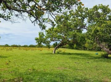 Finca , San Lorenzo · Venta de Finca Ubicada en Horconcito, Chiriquí