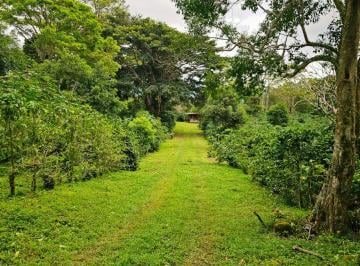 Finca , Boquete · Se Vende Finca 30h o Terrenos de 5h a 10h, Volcancito, Boquete, Chiriquí