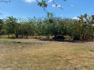 Finca , Penonomé · Vendo 1 Hectárea en Panamericana Cocle