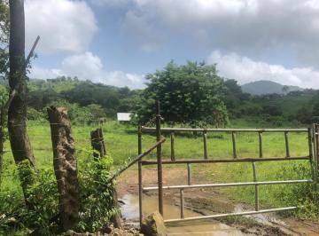 Terreno / Lote , Chepo · Tanara: Terreno en Venta - 25 Hectáreas Plano - Ondulado, en El Pueblo de Tanara