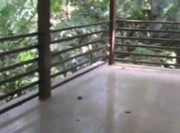 Casa de 2 habitaciones, Panamá · En La Falda del Cerro Ancon, con Seguridad 24/7: Casa Adosada, 3 Niveles, Bosque