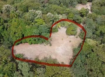 Finca , San Carlos · Finca 4.3 Ha – Ideal Proyecto Comunidad