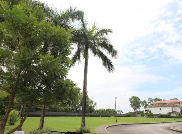 Terreno / Lote , Panamá · Venta Terreno Residencial - Costa del Este
