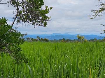 Terreno / Lote , Dolega · En Venta Lote 3 Finca Ganadera de 26 Hectáreas, en Chiriquí.