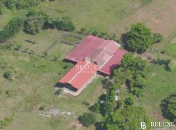Finca · 500000m² · 8 Estacionamientos · Vendo Finca Ganadera en El Espino, La Chorrera, Panama Oeste (9)