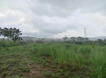 Terreno / Lote , Panamá · Terreno Venta Pedregal Jack
