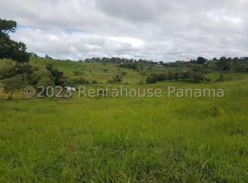 Finca , Renacimiento · Finca en Venta en Santa Clara, Renacimiento 20 Hectáreas