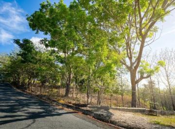 Terreno / Lote , San Carlos · Más de 17 Acres de Tierra Reforestada con Frente de Río en San Carlos