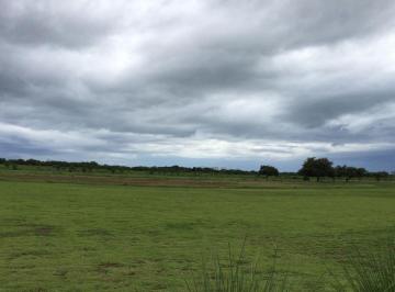 Terreno / Lote , Antón · Rsw. Se Venden 111 Ha Entre Sta. Monica, Buenaventura y Playa Blanca
