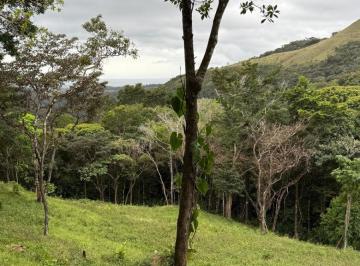 Terreno / Lote , Antón · Venta Terreno en El Valle de Antón, El Roble Vía Al Macano, 10,000 m²
