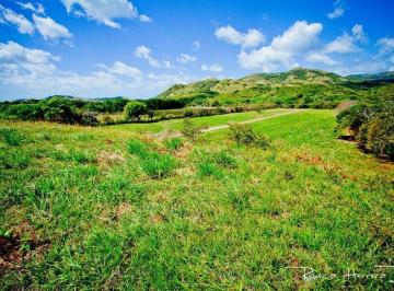 Terreno / Lote , Penonomé · Rsw. Se Vende Terreno en Penonomé de 40 Ha, con Proyecto
