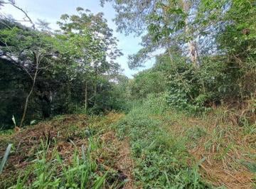 Finca · 10000m² · Vendo Una Hectarea Colindante con Agua