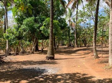 Terreno / Lote , Panamá · Rsw. Se Vende Terreno Plano, 3 Ha Mas 3044 m, en Rio Chico, Pacora.