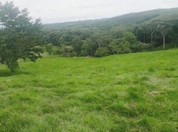 Finca , La Chorrera · Rsw. Se Vende Finca con Pasto Mejorado en Santa Rita, La Chorrera