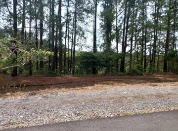 Terreno / Lote · 100000m² · Venta Terreno en Boquete Chiriqui