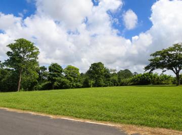 Terreno / Lote , La Chorrera · Terreno en Venta La Chorrera