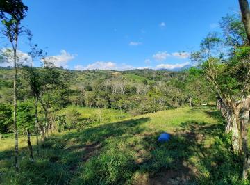 Finca de 7 habitaciones, Renacimiento · Venta Finca en Renacimiento, Chiriquí