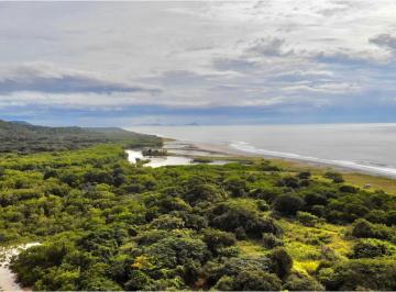 Finca · 420000m² · Se Vende Finca en Playa Malibú en Gorgona de Chame Js