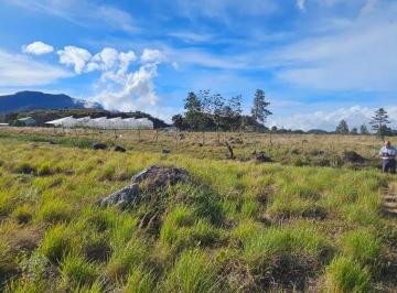 Terreno / Lote , Volcan · Lote en Venta en Paso Ancho con Vistas Al Volcán Barú