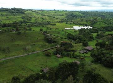 Casa de 3 habitaciones, Volcan · Contrato Pendiente - Propiedad Natural y Versátil 37h en Cuesta de Piedra, Volcán