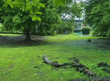 Terreno / Lote , Chame · .vendo Terreno de Playa en Nueva Gorgona