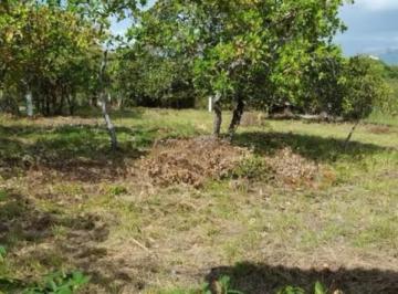Terreno / Lote , Chame · Playa Coronado: Terreno - Lote, Topografía Plana, de 1447 m²