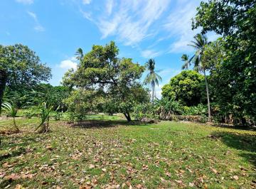 Terreno / Lote · 3007m² · Venta de Terreno en Chame, Panamá