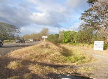 Terreno / Lote · 40000m² · Venta de Terreno en Chame, Gorgona 4 Sobre La Vía Interamericana