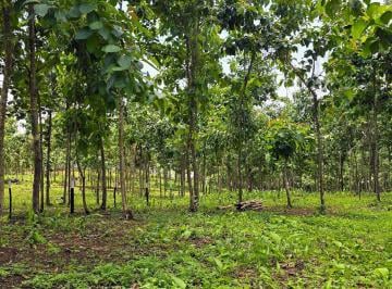 Finca , La Chorrera · Oportunidad Inversión – Frente Lago Lotes Financiam. Directo Desde $200 Sin Abono y Interes