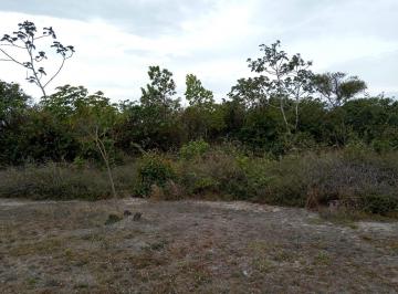 Terreno / Lote · 1000m² · Vendo Terreno en Antón Caballero Centro