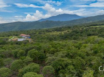 Terreno / Lote , Boquete · Terreno con Vista a La Montaña de 1 Hectárea Junto a Lucero