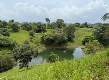 Finca , Chepo · Venta de Finca en Chepo, Lago Bayano, 97 Hectáreas
