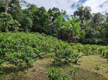 Terreno / Lote , Renacimiento · Venta de Lote de 5 Hectáreas en La Frontera con Costa Rica