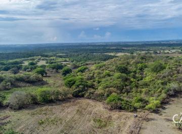 Terreno / Lote , Las Tablas · Terreno Amplio de 6 Hectáreas en Venta en Las Tablas, Los Santos