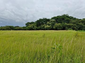 Terreno / Lote · 20000m² · Venta de Terreno en Anton - 7102 Jc X Rc