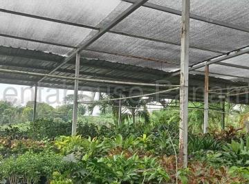 Terreno / Lote , Panamá · Super Oferta Venta de Negocio con Lote de Terreno, Ubicado en Alcalde Diaz