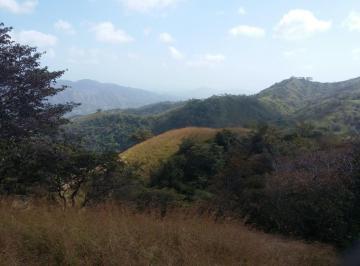 Terreno / Lote , Tonosí · 273 Hectáreas en Tonosí con Agua Natural y Alto Potencial de Inversión