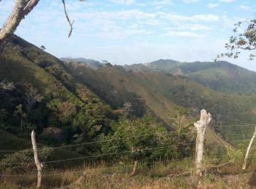 Terreno / Lote , Tonosí · 273 Hectáreas en Tonosí con Agua Natural y Alto Potencial de Inversión