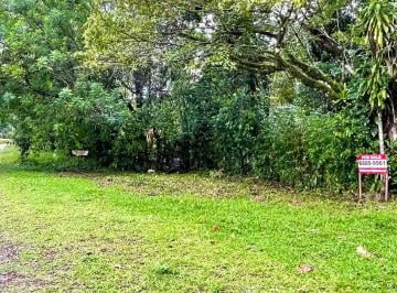 Terreno / Lote , Boquete · Propiedad en Venta – Caldera, Distrito de Boquete