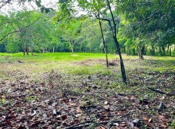 Terreno / Lote , Boquete · Oportunidad de Inversión en Caldera, Boquete
